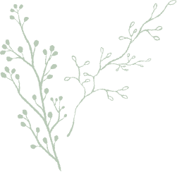 女性専用の出張施術